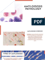 Amyloidosis Pathology Amyloidosis Pathology
