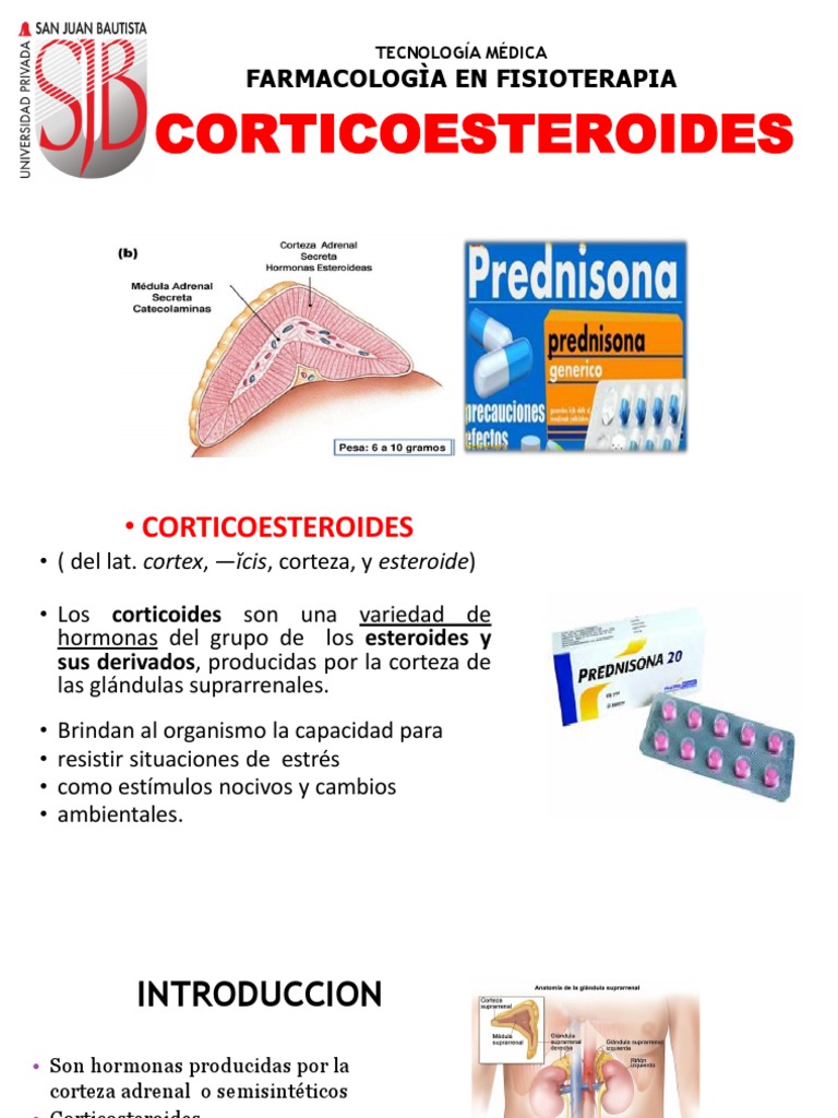 Corticoesteroides: Funciones y Usos | PDF | Corticosteroides ...