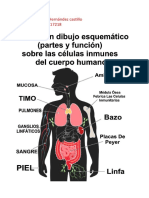 Documento PDF Esquema