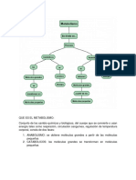 Actividad 1 Mapa Conceptual