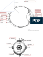 1.1 - Eye Diagrams and Functions Assignment