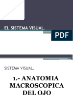 Sistema Visual