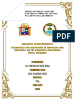 Universidad Nacional Del Altiplano Facultad de Ciencias Jurídicas Y Políticas Escuela Profesional de Derecho