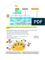 Metabolismo de La Glucosa-Bioca