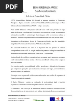 Reflexão de Contabilidade Pública