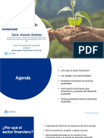 2.oportunidades de Financiamiento para Proyectos de DS - Doris Arévalo