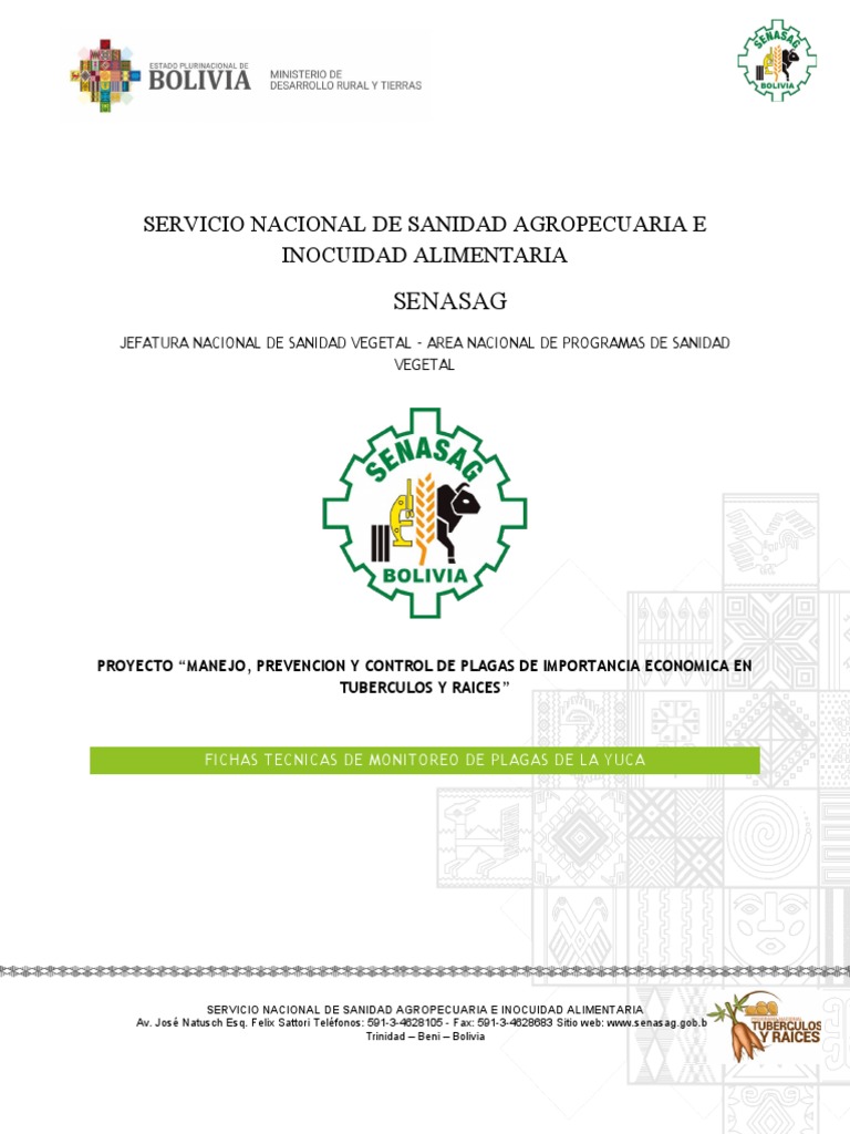 fichas-t-cnicas-de-monitoreo-de-plagas-de-la-yuca-pdf