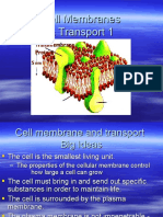 Cell Membranes & Transport 1