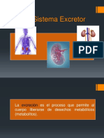 Sistema Excretor - Unam