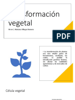 Transformación Vegetal