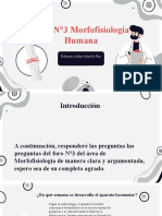 Foro N°3 Morfofisiologia Humana: Edinson Aldair Murillo Paz