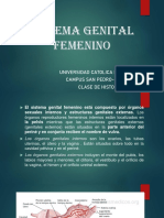Sistema Genital Femenino I