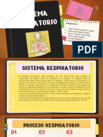 SISTEMA RESPIRATORIO Y SISTEMA DIGESTIVO GRUPO 1