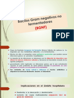 Diapositivas BGNF Septiembre 2022