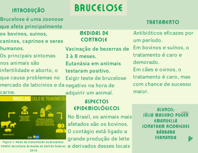 Sintomas e Tratamento da Brucelose | PDF | Tecnologia e Engenharia