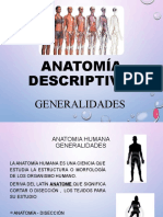 Anatomía Descriptiva: Generalidades