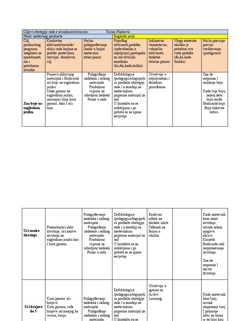 Plan I Program Za Djecu Sa Posebnim Potrebama Iz Engleskog Jezika | PDF