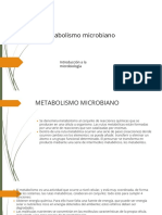 Metabolismo Microbiano - 398f91da 7668 44e6 9ee2 5e177599e226