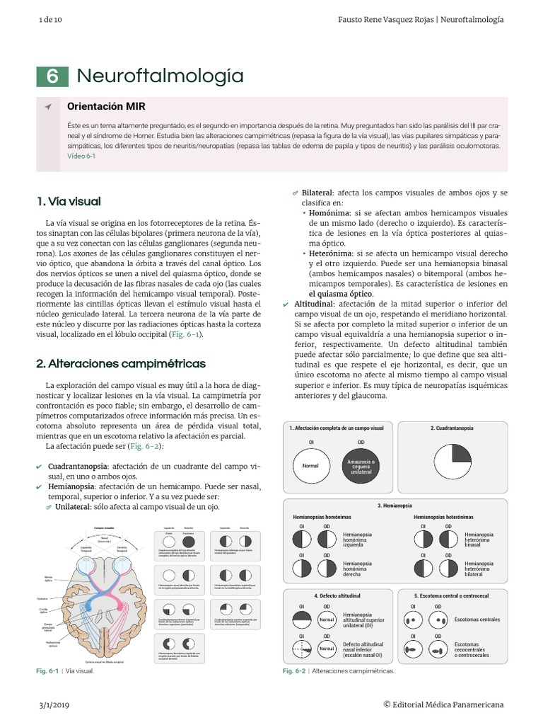Neuroftalmologia PDF Percepción visual Lóbulo occipital