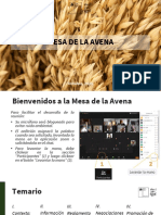 Avena