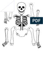 esqueleto esqueleto armable