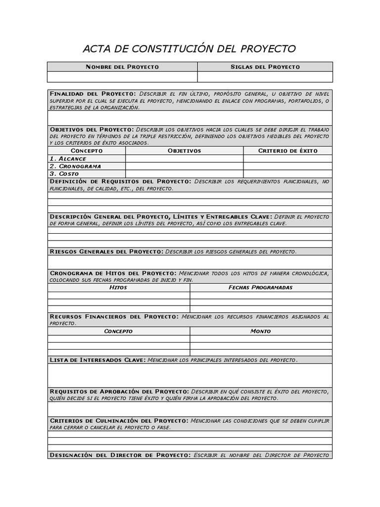 01 - Acta de Constitución Del Proyecto | PDF | Business