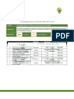 Cronograma de Actividades