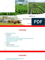 NIF E-1 Actividad Agropecuaria (8289)