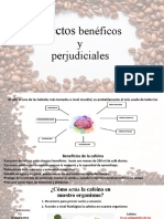 Efectos: Benéficos y Perjudiciales