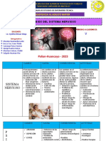 cambios del sistema nervioso