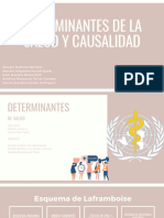 Determinantes de La Salud y Causalidad