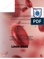 Infografia Anemia