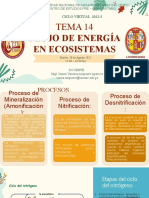 Tema 14: Flujo de Energía en Ecosistemas