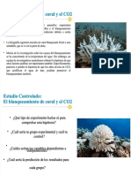 PDF Teoria Innatista Compress