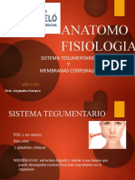 Anatomo Fisiologia: Sistema Tegumentario Y Membranas Corporales