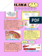 Infografía de Proceso Proyecto Collage Papel Marrón