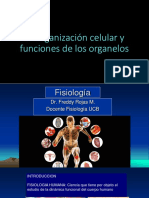 Organización Celular y Funciones de Los Organelos