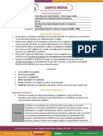 Formato 2