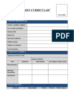 Formato Sintesis Curricular (Carpeta de Ascenso)