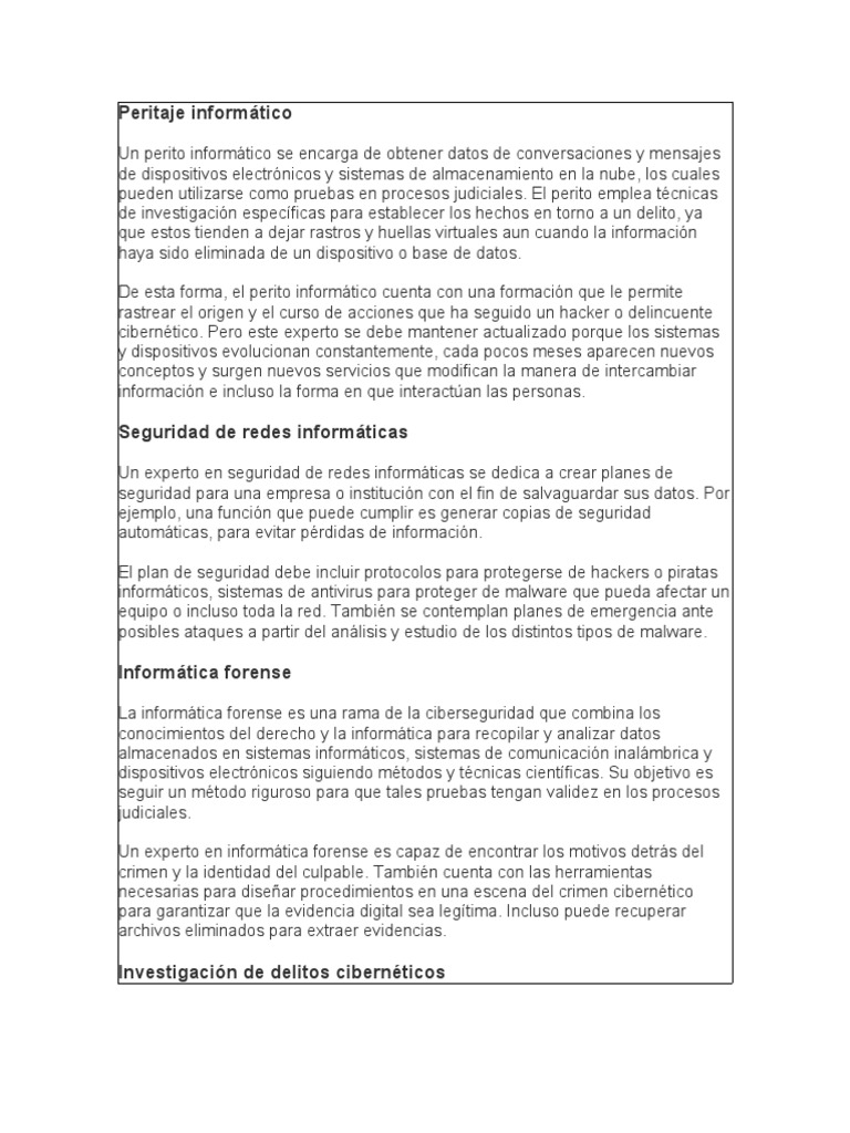 Peritaje Informático | PDF