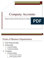 Company Accounts: Balance Sheet and Profit and Loss of A Limited Liability Company