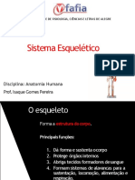 Sistema Esquelético: Disciplina: Anatomia Humana Prof. Isaque Gomes Pereira