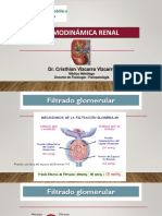 Hemodinamica Renal