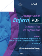 Diagnósticos de Enfermería: Implicaciones en la Práctica Profesional