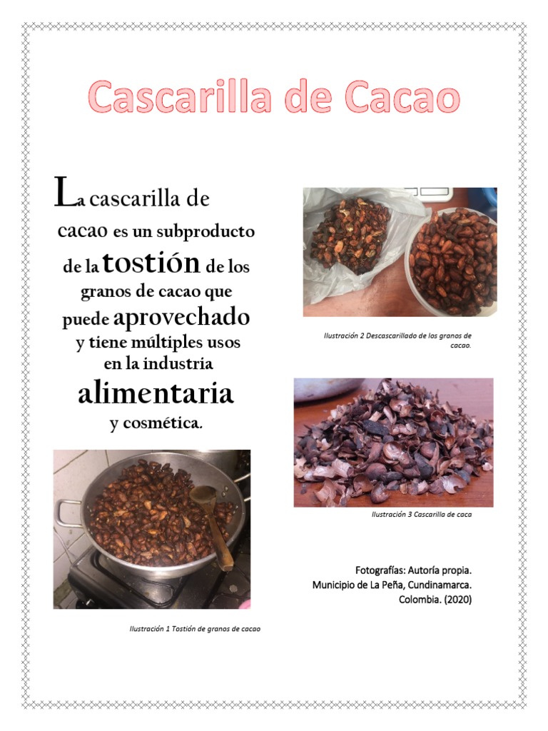 Productos de Cascarilla de Cacao | PDF | Aceite de oliva | Jabón