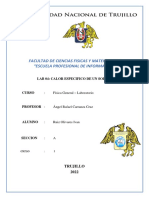 Lab Fisica Calor Especifico de Un Solido