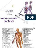 Sistema Vascular Periférico: Klgo. Guillermo Leyton Ensignia