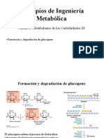 Unidad 2. Metabolismo de Carbohidratos 3