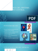 Fisiología Del Sistema Nervioso Central