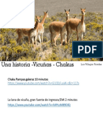 Una Historia - Vicuñas - Chakus: Luis Villegas Paredes
